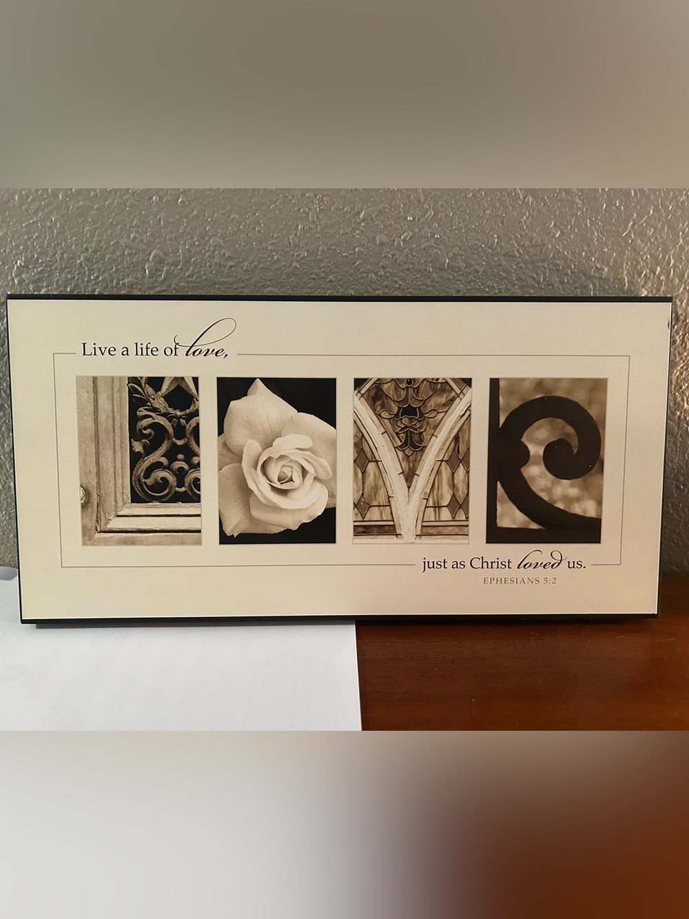 Live a Life of Love Sepia Wall Art